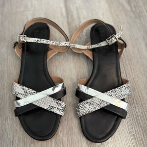 Eridani Black Leather  Snakeskin Embossed Women's Sandals